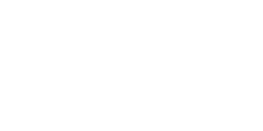 Logo von pragmatiV